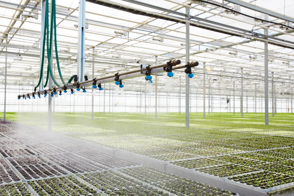 Irrigation system inside greenhouse